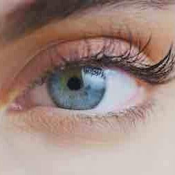 Eyebrow Lamination